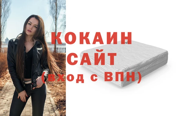 сатива Арсеньев