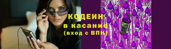 сатива Арсеньев