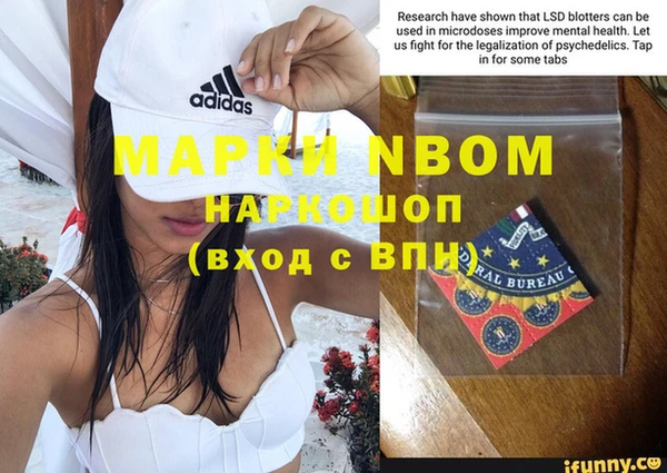 сатива Арсеньев