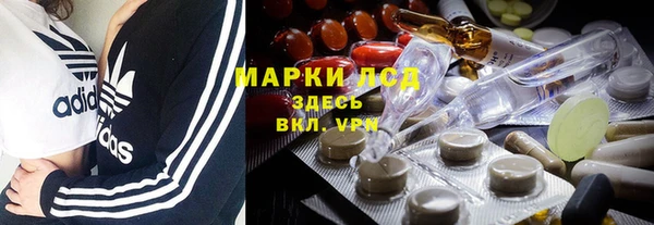 сатива Арсеньев