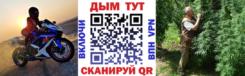 Бошки Шишки планчик где можно купить мега онион Тогучин